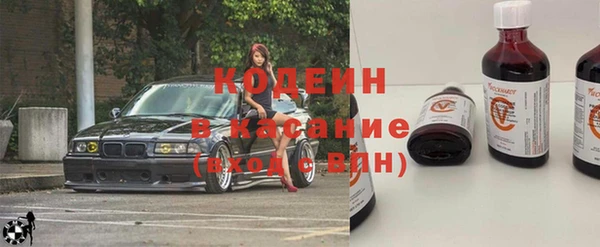 молекула духа Богородицк