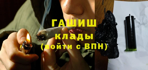 молекула духа Богородицк