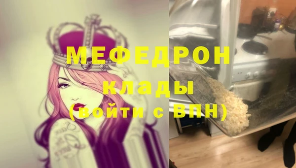 молекула духа Богородицк