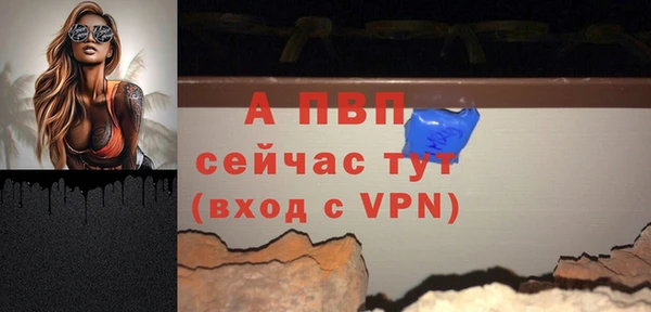 молекула духа Богородицк