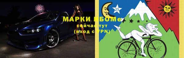молекула духа Богородицк