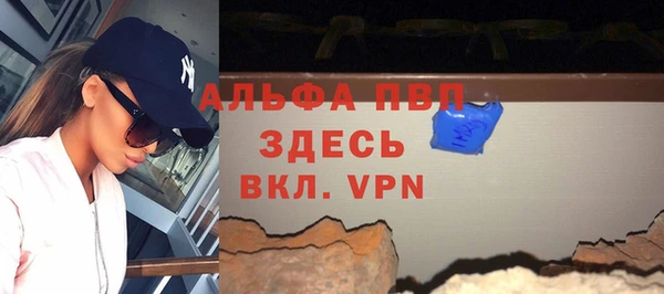 молекула духа Богородицк