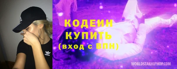 молекула духа Богородицк