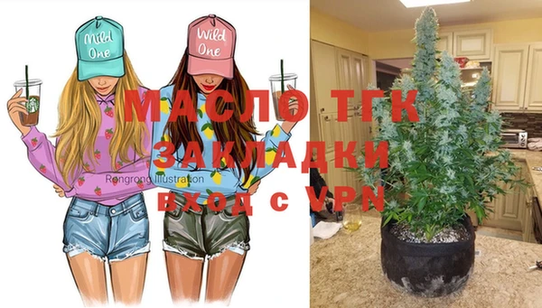 молекула духа Богородицк