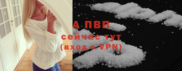 молекула духа Богородицк
