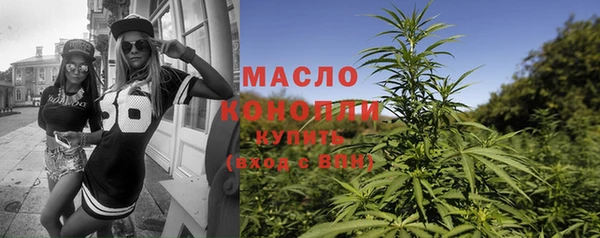 молекула духа Богородицк