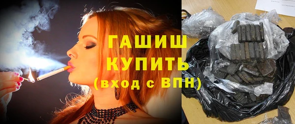 молекула духа Богородицк