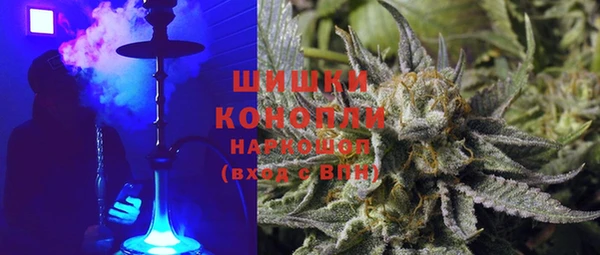 молекула духа Богородицк