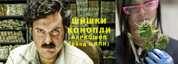 молекула духа Богородицк