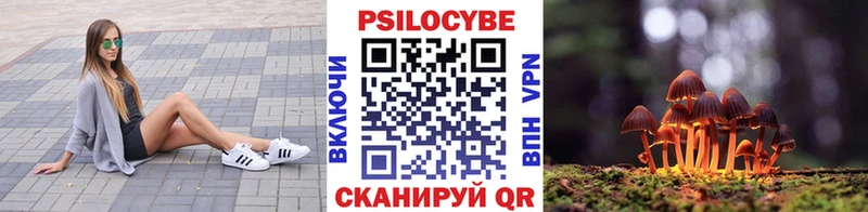 Псилоцибиновые грибы Psilocybine cubensis  Йошкар-Ола 
